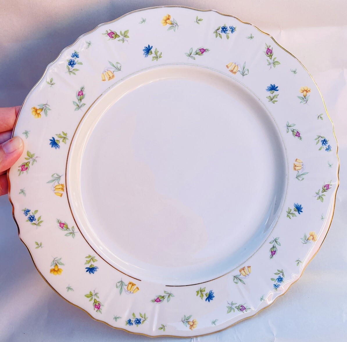 Suzanne Federal Shape Syracuse China 1Dinner Plates, (A1441) Made