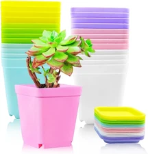 Haawooky 24 Pack Colorful Flower Pots Square Plastic Plant Pots Succulent Plante