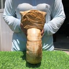 20.9LB Whole natural ammonite fossil conch crystal specimen healing — photo 4