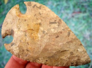 Super Fine Colorful 4 1/8 inch G10 Indiana Hopewell Point with COA Arrowheads