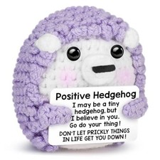 Funny Positive Crochet Hedgehog Birthday Gifts for Women Men, Emotional