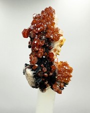 Incredibile Vanadinite con Cristalli di Barite - Mibladen, Marocco - 34g Minerali Rari