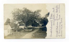 Corydon Indiana, home, winding dirt road by Constitutional Elm, RPPC postcard