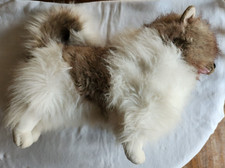 RARE MELISSA  DOUG 20" Plush POMERANIAN Dog Brown White Big Stuffed Animal Lrg