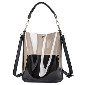 ebay transparent bag