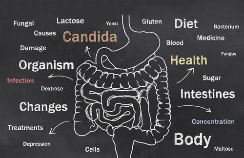 Wormwood oil - CANDIDA AWAY PLUS - immune support pills - 2 Bot - Afbeelding 3 van 12