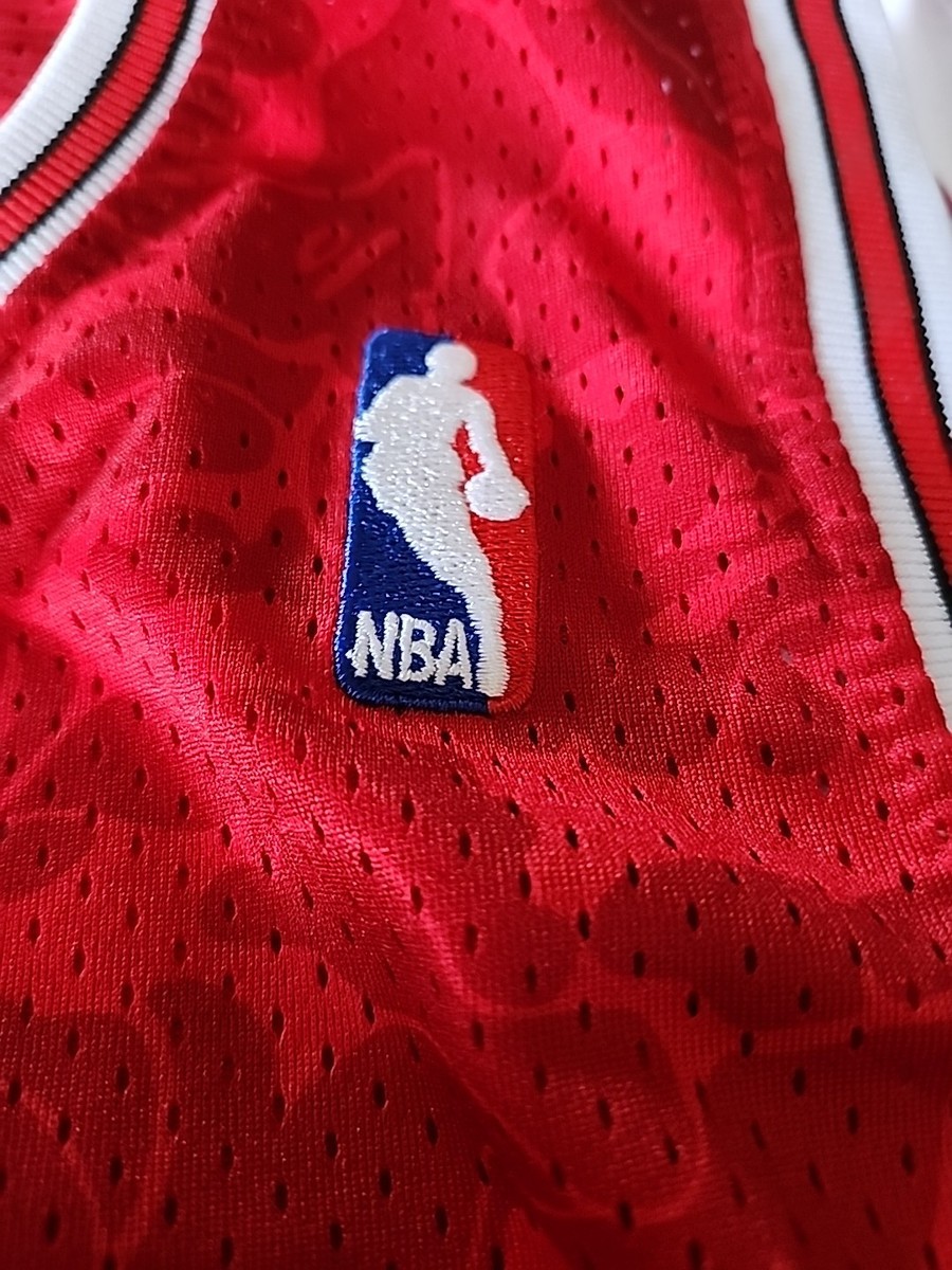 Bape X Mitchell & Ness Chicago Bulls Jersey Men's XL & Jordan