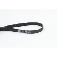 Continental Ctam 6PK1705 Keilrippenriemen