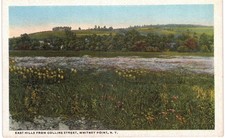 Whitney Point East Hills From Collins Street 1920 NY
