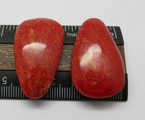 NATURAL PACIFIC OCEAN RED SPONGE CORAL CABOCHONS 02 PIECES LOOSE STONES - Picture 4 of 4