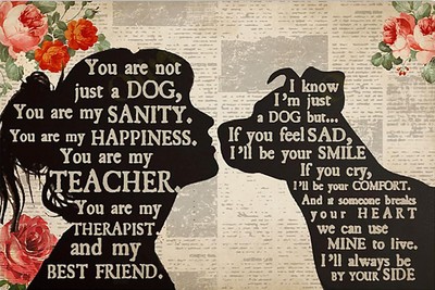 You Are Not Just A Dog You Are My Sanity Vintage Metal Aluminum Tin Metal Signs