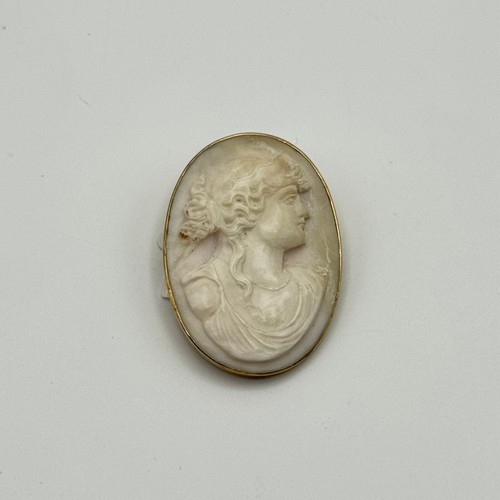 Conch, 10K Gold Cameo Brooch