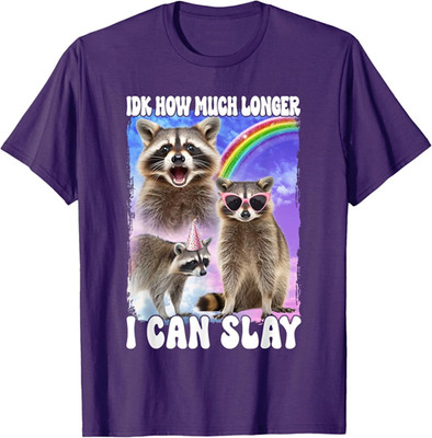 Idk How Much Longer I Can Slay Meme Raccoon Funny T-Shirt Medium