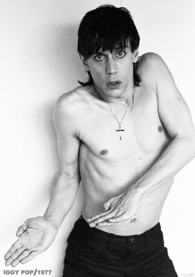 Poster IGGY POP - Idiot Pic 1977 ca60x85cm NEU 15378