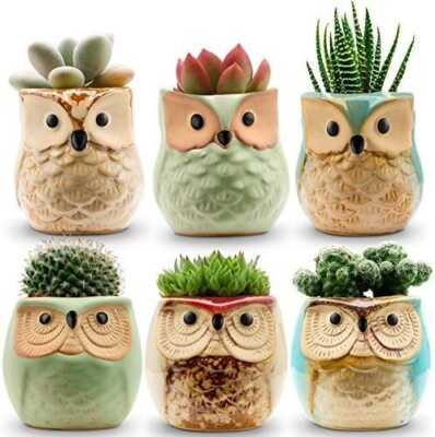 ROSE CREATE 6 PCS Owl Pots 2.5 Inch, Owl Planter / Mini Ceramic Succulent Pots