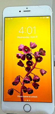 Apple iPhone 6 Plus - 64 GB - Gold (Unlocked)