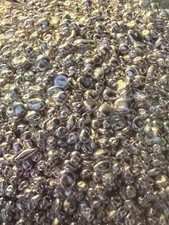 500 g Silbergranulat 999,9 / 1000 – Feinsilber