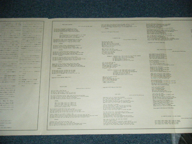 Picture 7 of 11