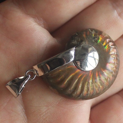 Collar colgante de cuentas fósil de amonita arco iris natural - Imagen 5 de 8