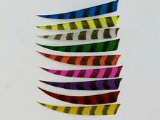 TrueFlight 5" Shield Barred Feathers - 12 Pack, RW or LW