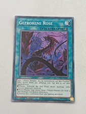 Yu-Gi-Oh Einzelkarte Gefrorene Rose NM