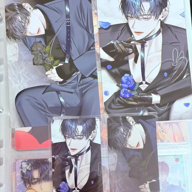 DeMotzook Birthday Wishes Postcard & Photo Card Set