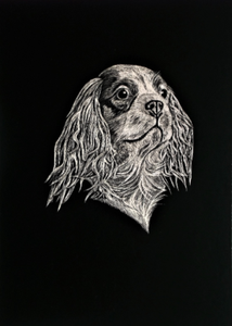dog engraving