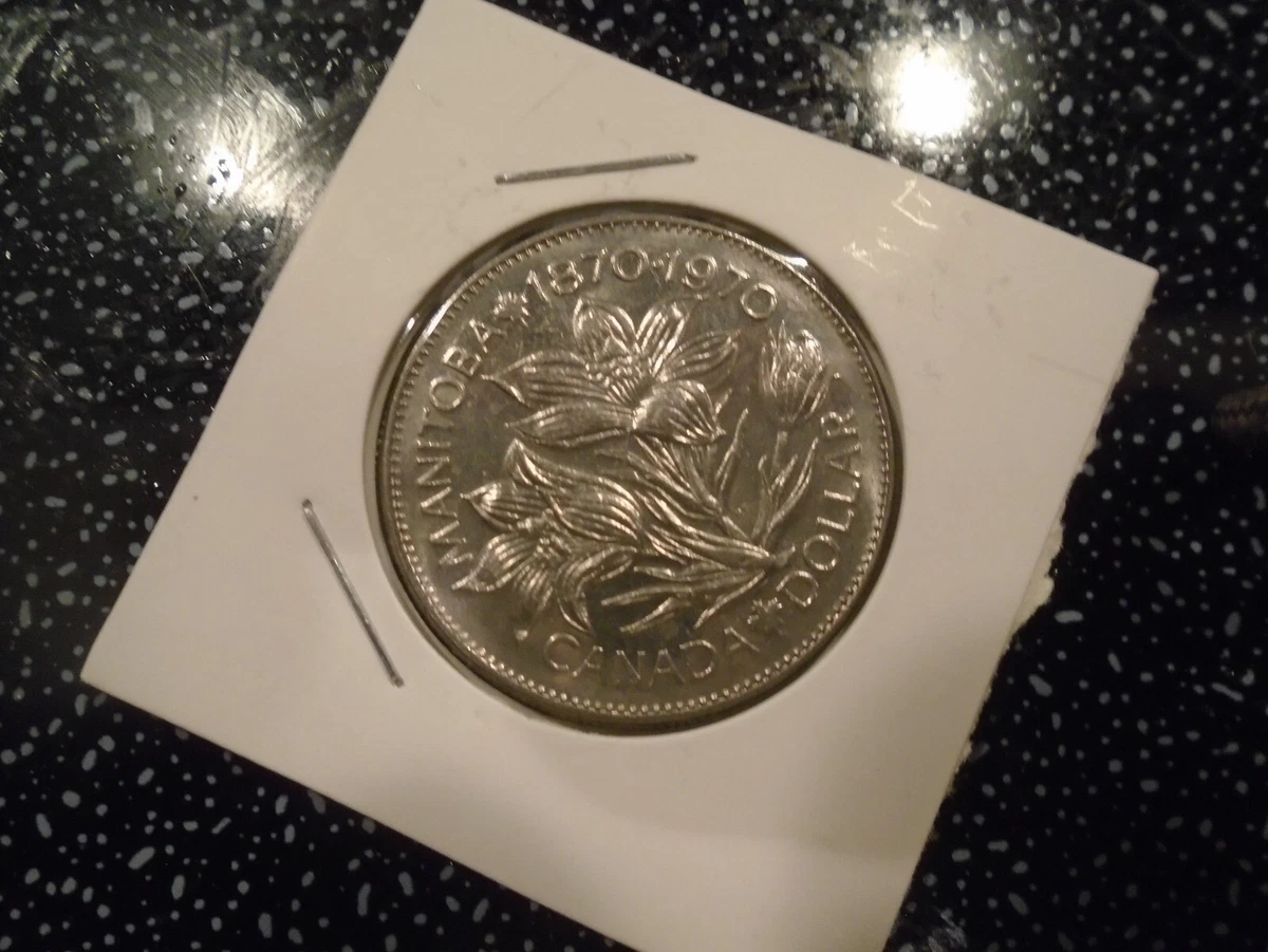 加拿大1 美元硬币| eBay