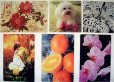 Tempered Glass Cutting Board KITCHEN ART COUNTER SAVER Choose Your Pattern 