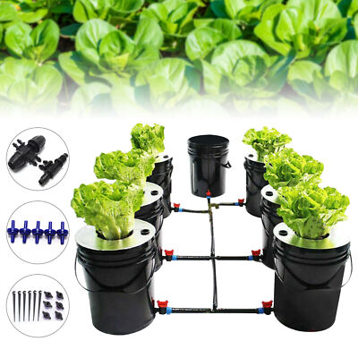 DWC 5 Gallons 6 Buckets Hydroponics Growing System Recirculating Growing Kit US