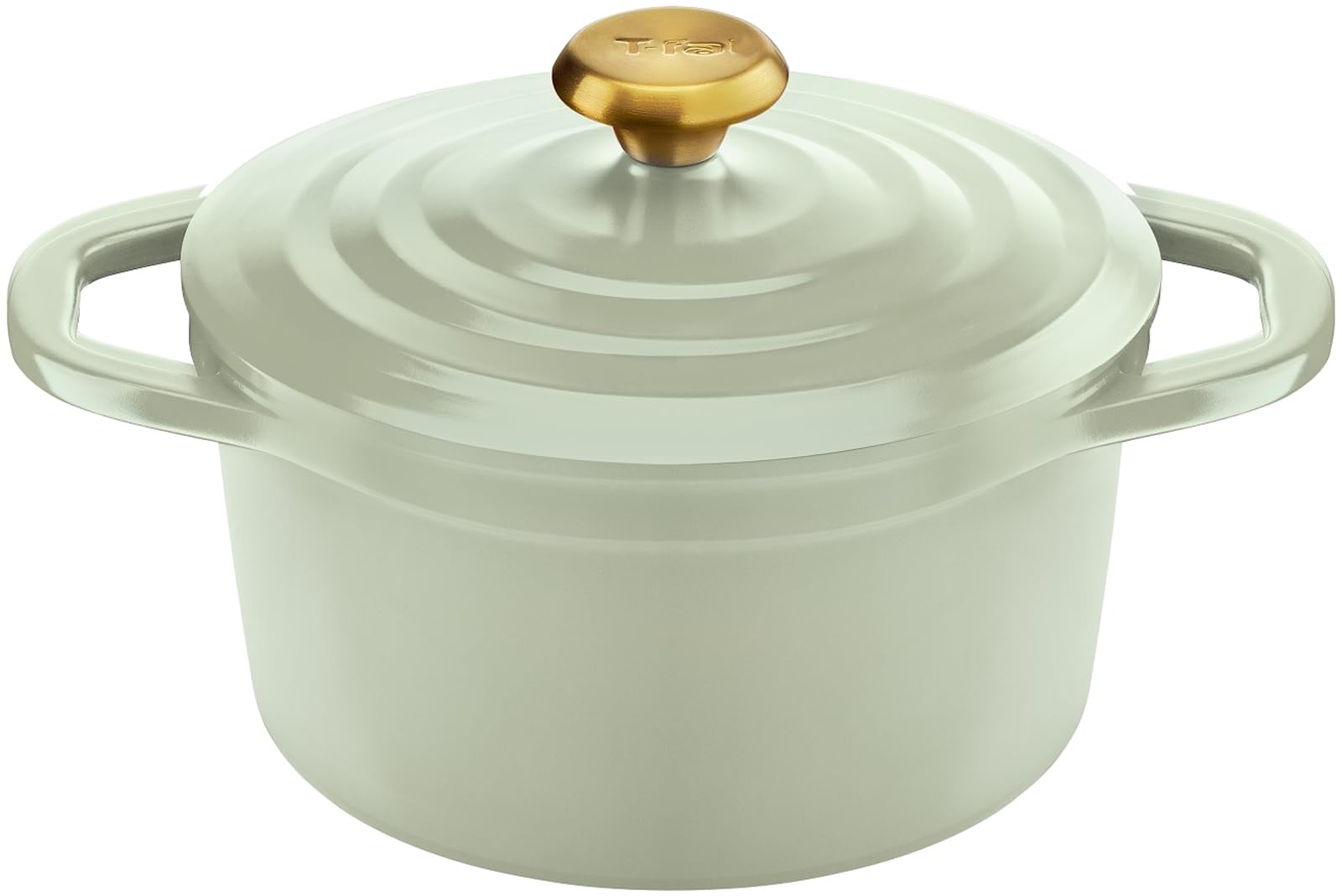 Tefal 20cm Cocotte Pot for Waterless Cooking Lightweight and Easy to Use with Two Handles-image