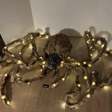 POTTERY BARN HARRY POTTER LIT ARAGOG SPIDER LIGHTED POSABLE DECOR TESTED & WORKS