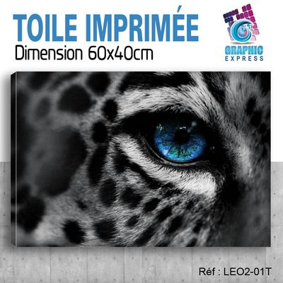 Tableau Déco Toile Imprimée 40x25 Cm - Motif Chats (Cats) - Pour Intérieur/Extérieur - Neuf