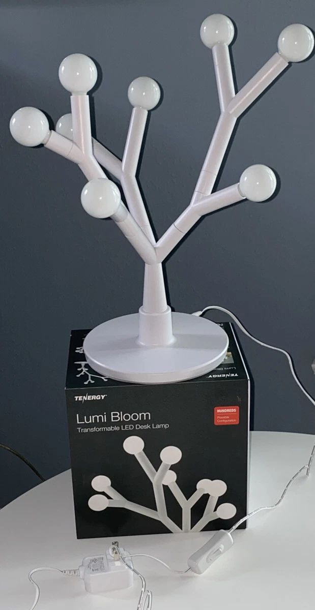 Lumi 2025 table lamp