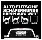 Bild 3 von 18