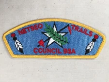 Netseo Council plastic back BSA CSP Patch