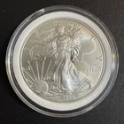 2013 American Silver  Eagle BU 1 oz .999 Silver in capsule