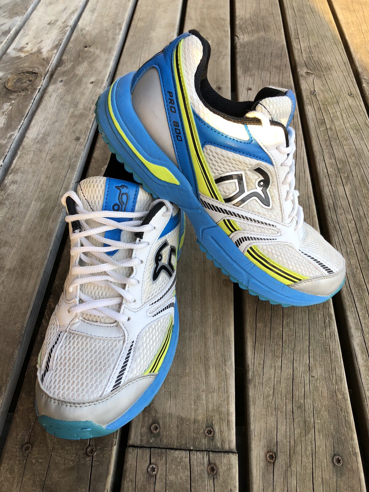 rebel sport cricket shoes