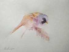 Bearded Reedlin, Birds, Watercolor artwork, Handmade, Original painting on paper