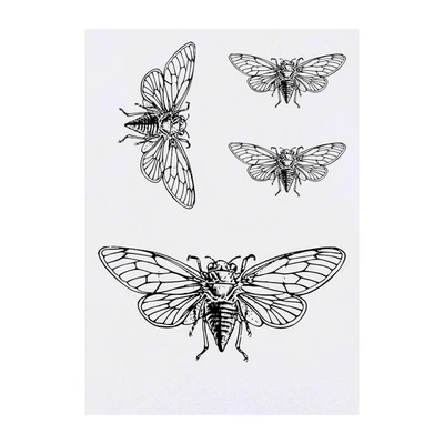 AZEEDA 4 x 'Fixed Cicada' Temporary Tattoos / Transfers (TO00072992)