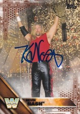 2016 Topps WWE Wrestling Cards 17