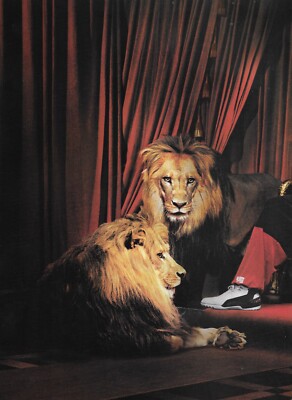 2006 Nike LeBron James Basketball Shoe 