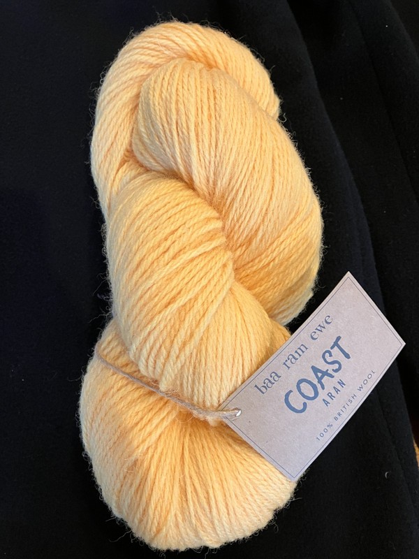 Baa Ram Ewe Coast aran weight British wool yarn  200g 308 m/336y color Raincoat