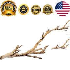Forest Branch Small   Natural Wood Terrarium Decoration for Reptiles, Amphibi...