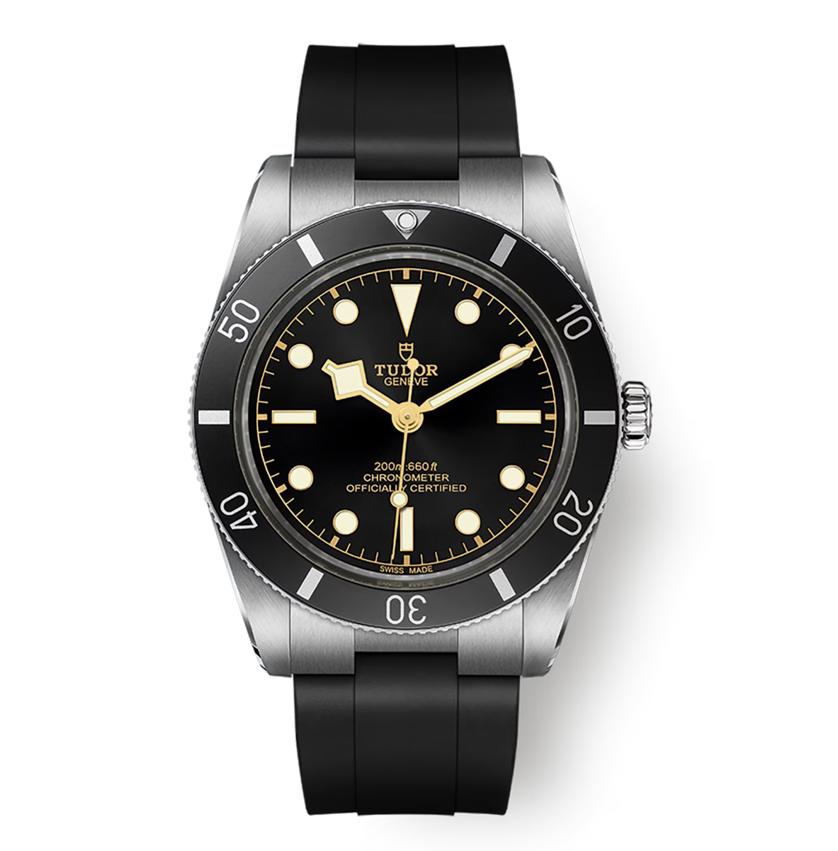 TUDOR ブラックベイ54 79000N s-l1200.png