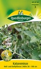 Katzenminze Samen von Quedlinburger Saatgut