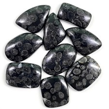 9 Pcs Natural Black Fossil Coral 27-35mm Loose Untreated Cabochon Gemstones Lot