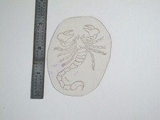 vtg 1960s 1970s Tattoo acetate stencil Zodiac Signs Scorpion v8 signed ZOD2