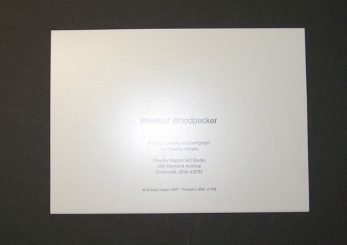 Charles/Charley Harper Notecards "Pileated Woodpecker" 4 Pack w/Envelopes - Picture 2 of 2