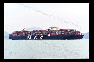 CS0001 - MSC Containership - MSC Ditto - Foto 6x4